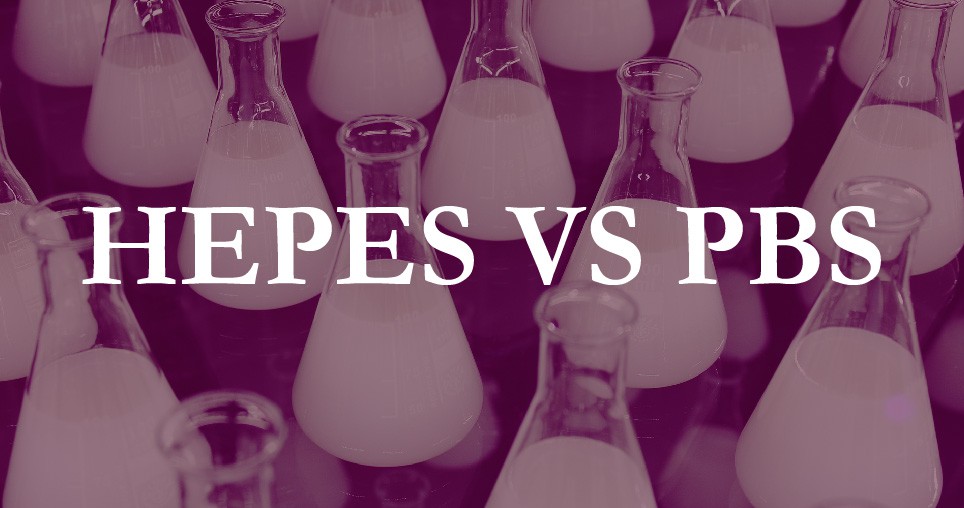 HEPES與PBS對比