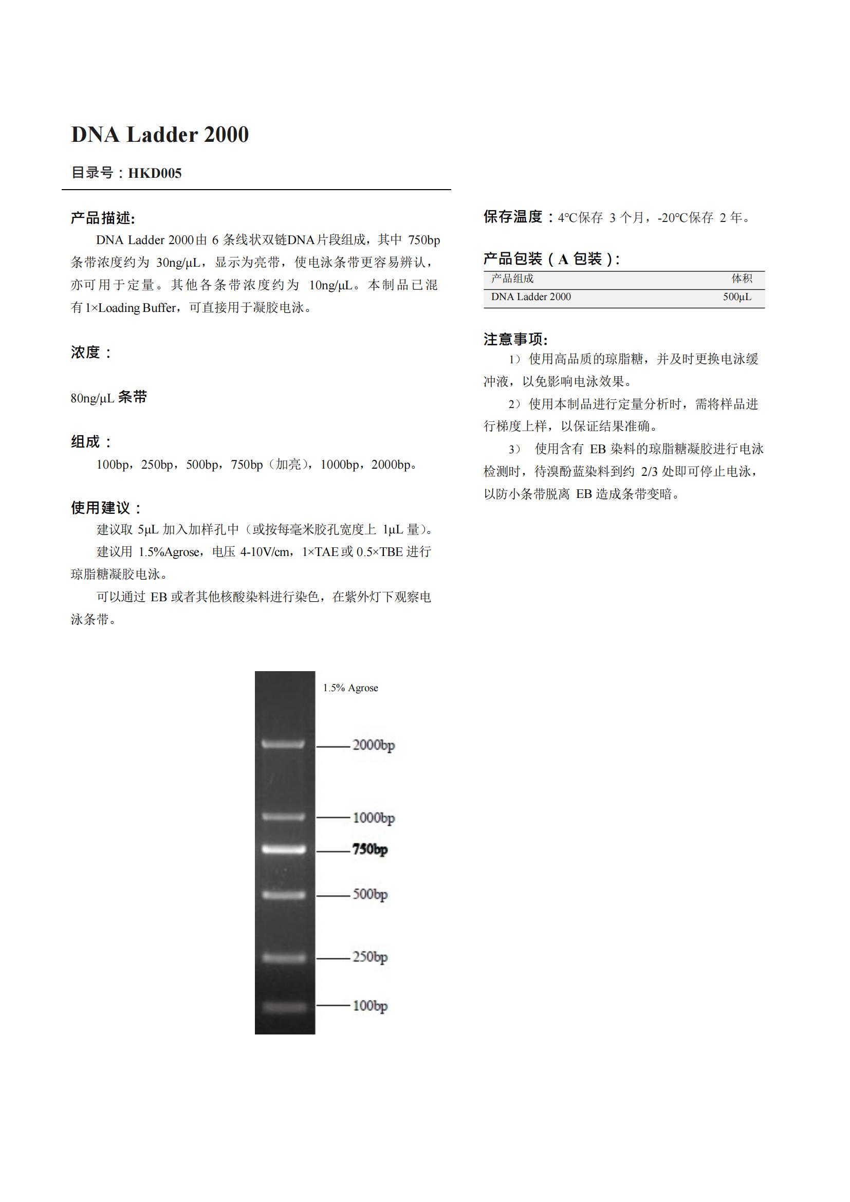 DNA Ladder 2000（DNA梯子 2000）產品說明