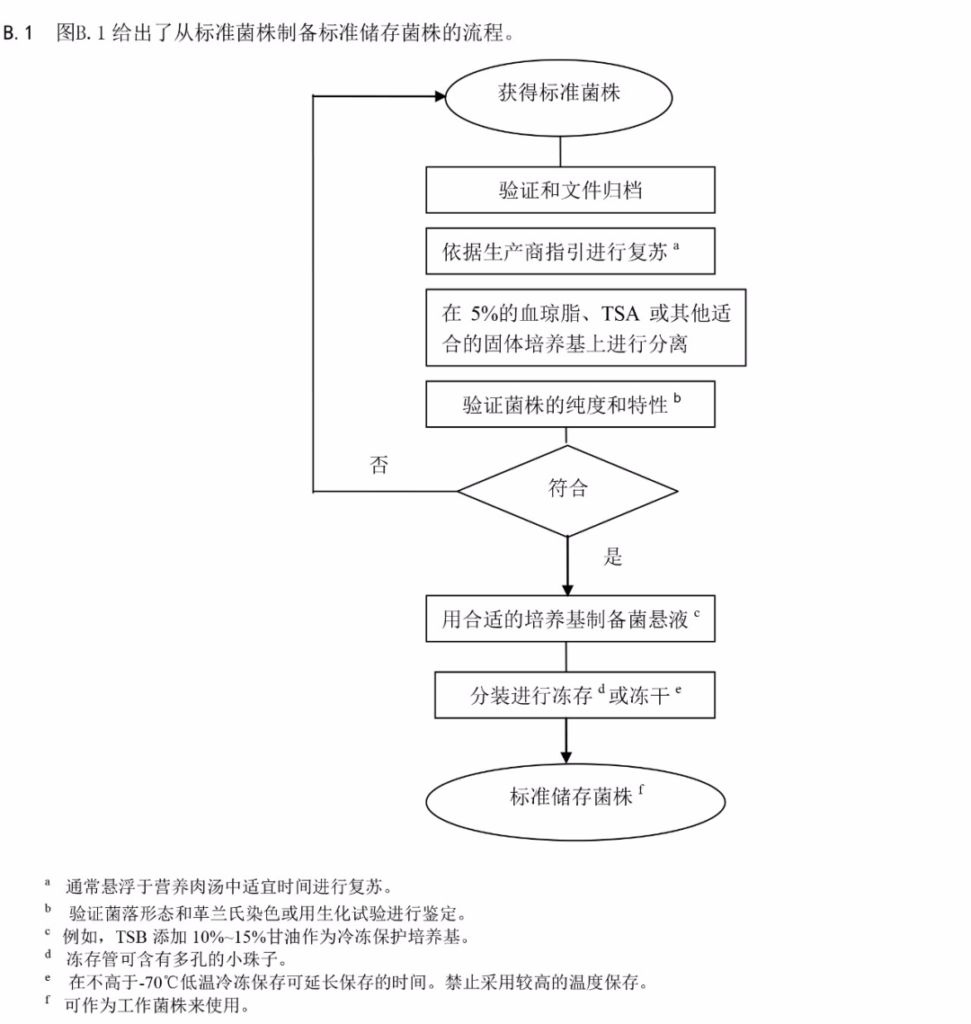 標準菌株制備標準儲存菌株流程