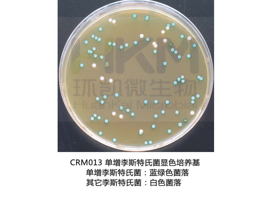 單增李斯特氏菌顯色培養基