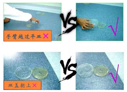 環境微生物監測-樣品取樣