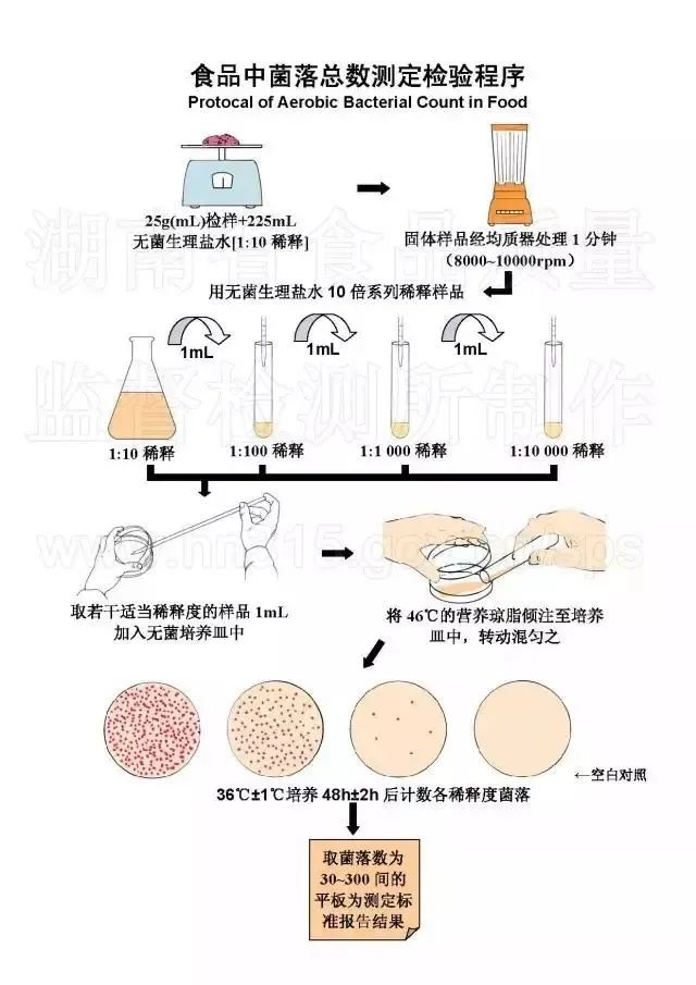 菌落總數檢驗程序