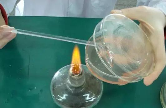 涂布法接種細菌