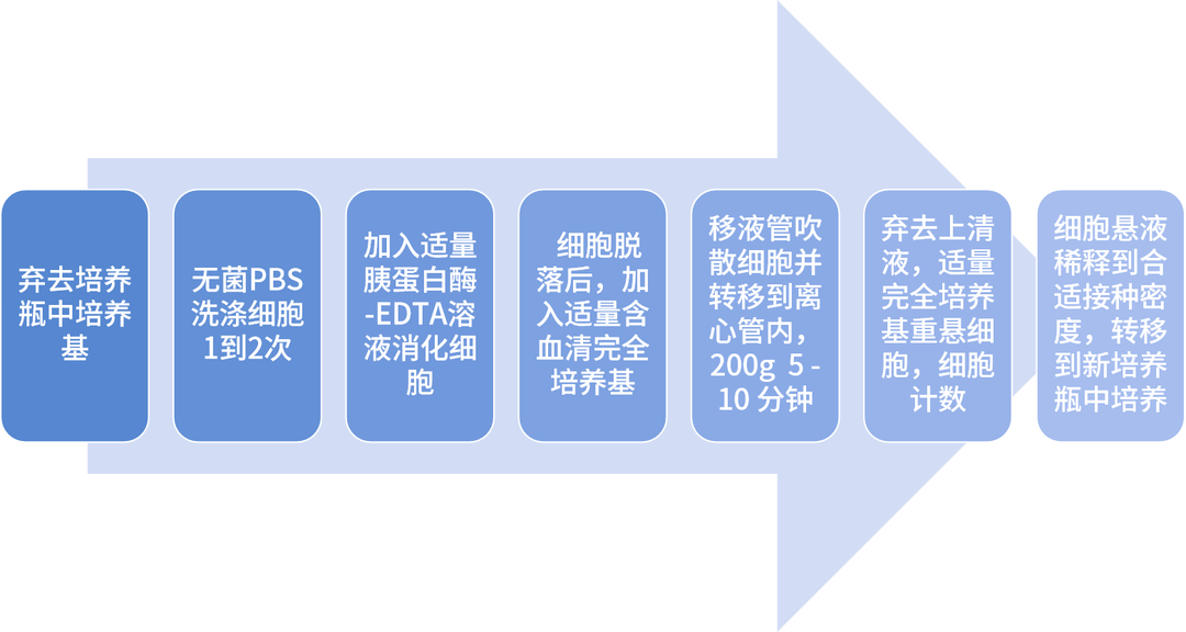 貼壁細胞傳代步驟