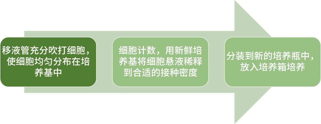 懸浮細胞傳代步驟