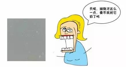 細胞復蘇無起色