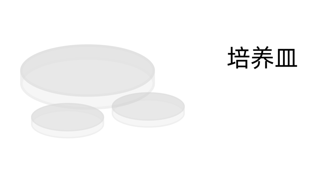 培養皿